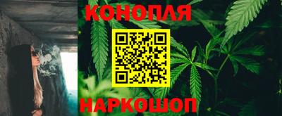 шишки Можайск