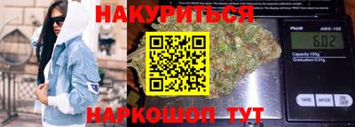 гидра Моздок