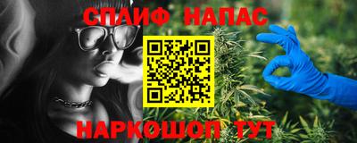 гидра Моздок