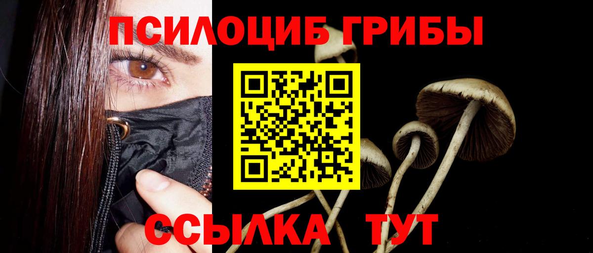 Псилоцибиновые грибы ЛСД  Вход с VPN  Вышний Волочёк 